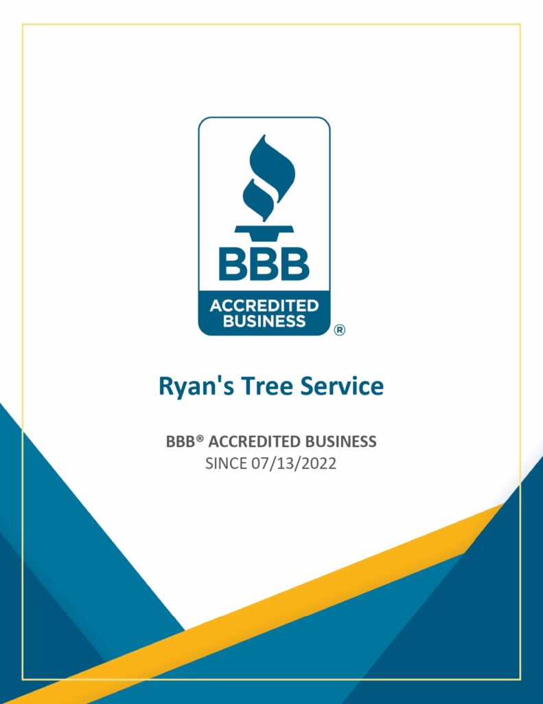 Ryan's Tree Service|Home
