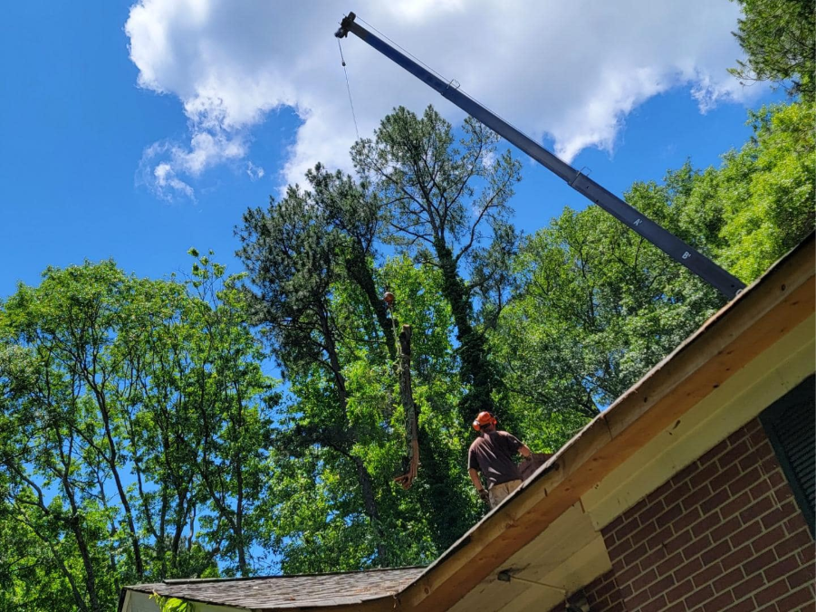 Tree Pruning 